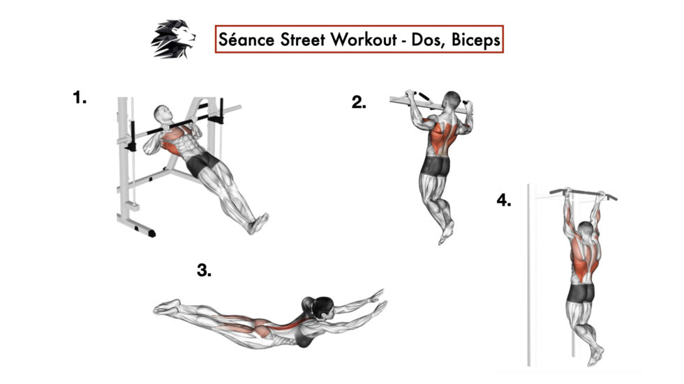 Entra Nement Street Workout Dos Et Biceps