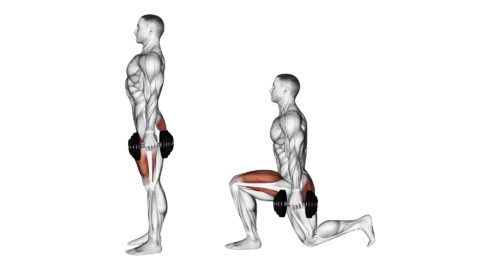 les-fentes-muscu-street-et-crossfit
