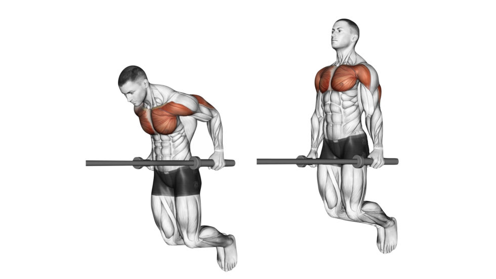 Les Dips Muscu Street et Crossfit