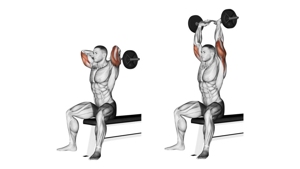 Extension Verticale Triceps Muscu Street et Crossfit