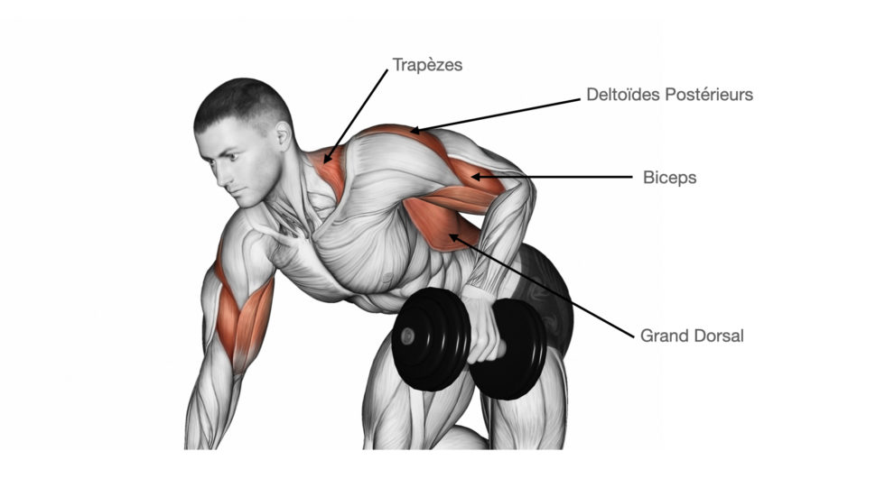 Tirage Bûcheron - Muscu Street et Crossfit