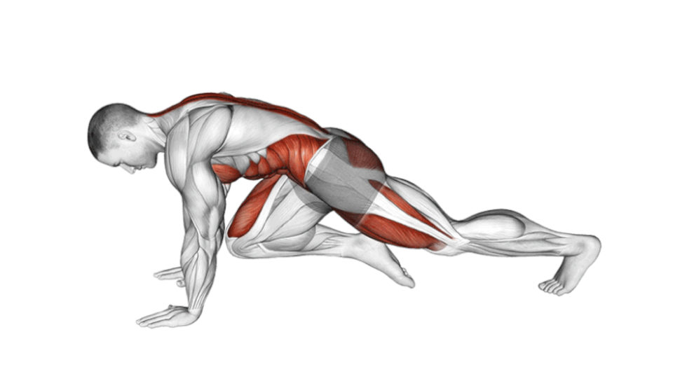 Le mountain climber muscu street et crossfit