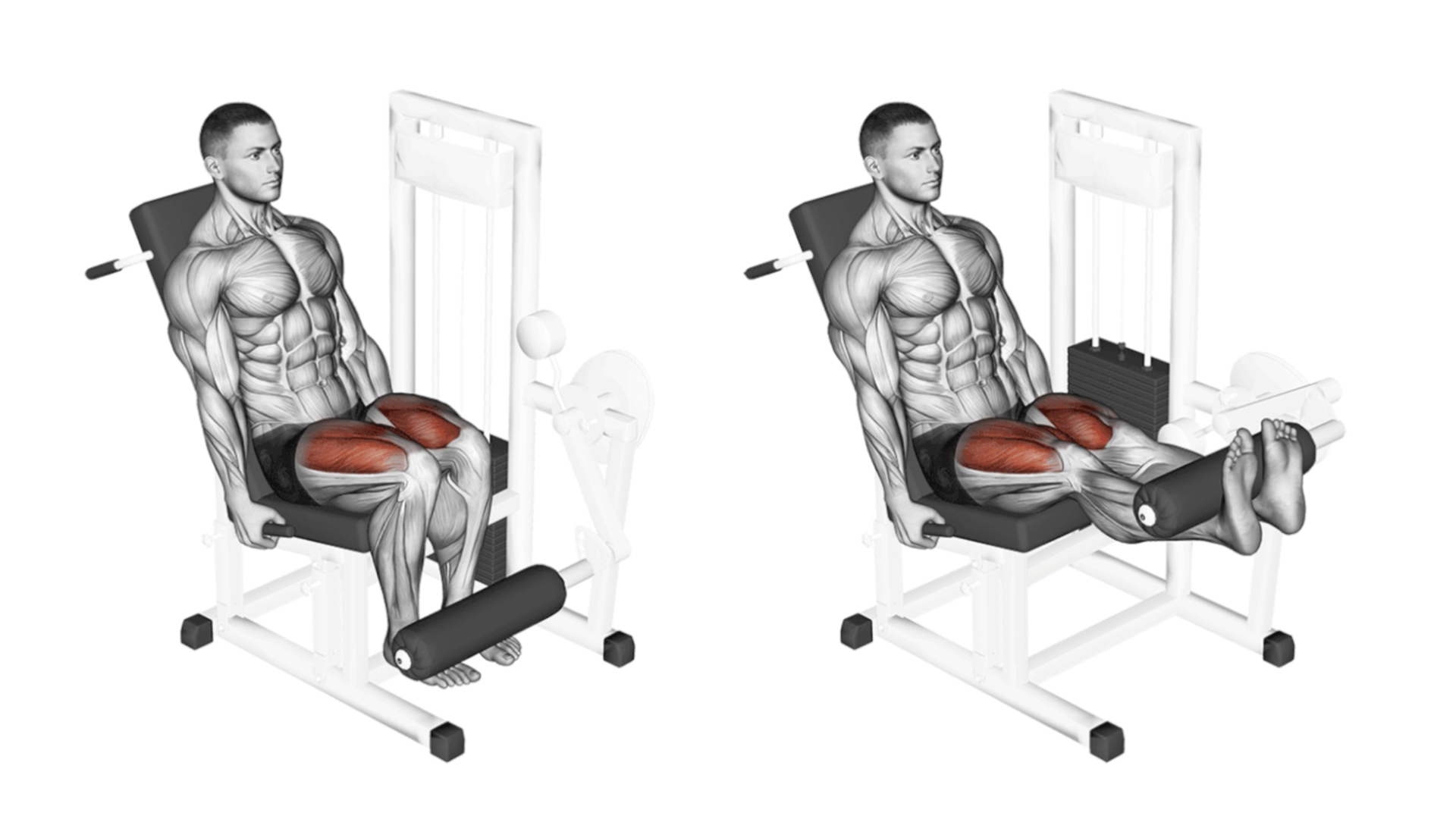 Leg Extension Muscu Street Et Crossfit
