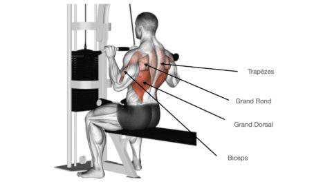 Le Tirage Vertical Poitrine - Muscu Street Et Crossfit