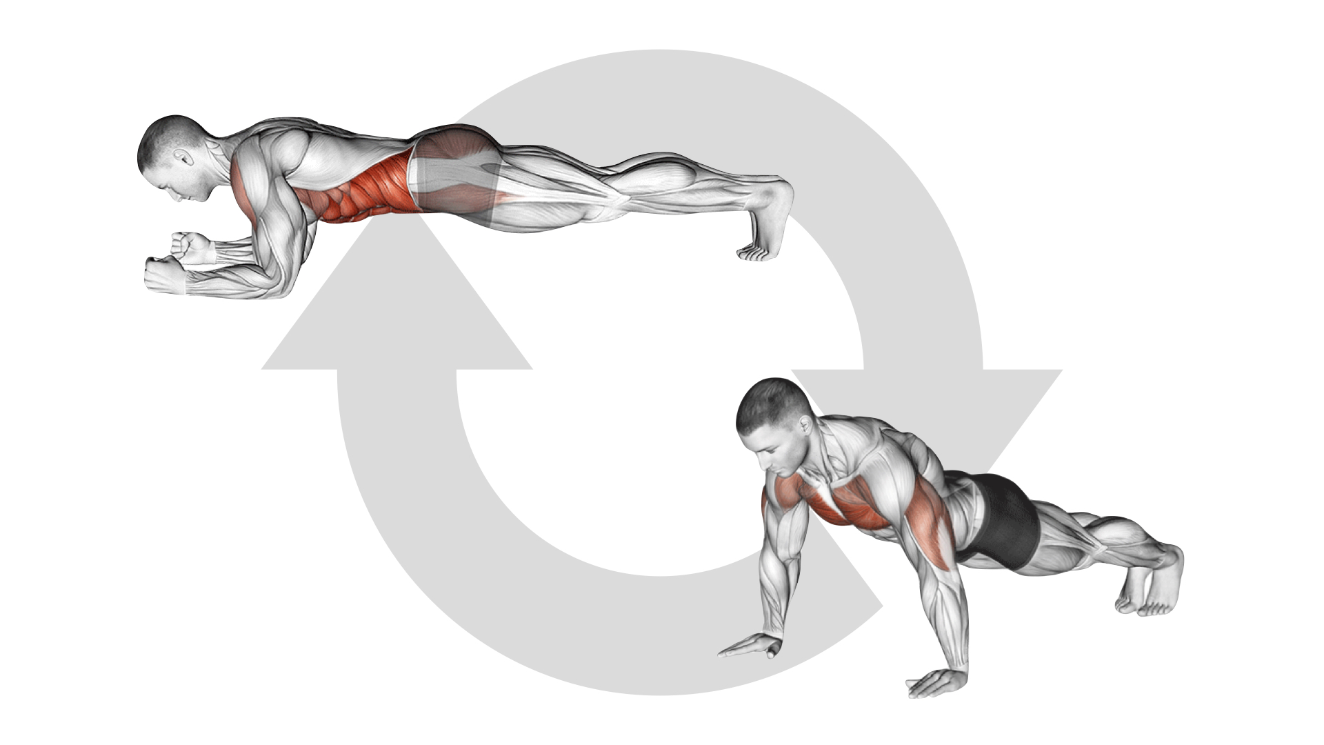 La Planche Commando Muscu Street Et Crossfit