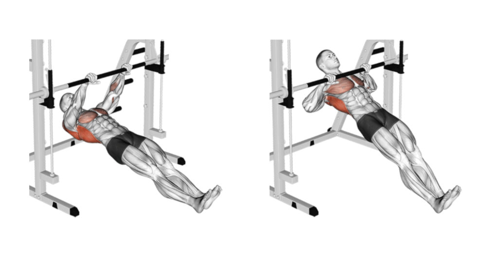 Poignées Pour Tractions Neutres,Accessoire Pour Machine à Poulies