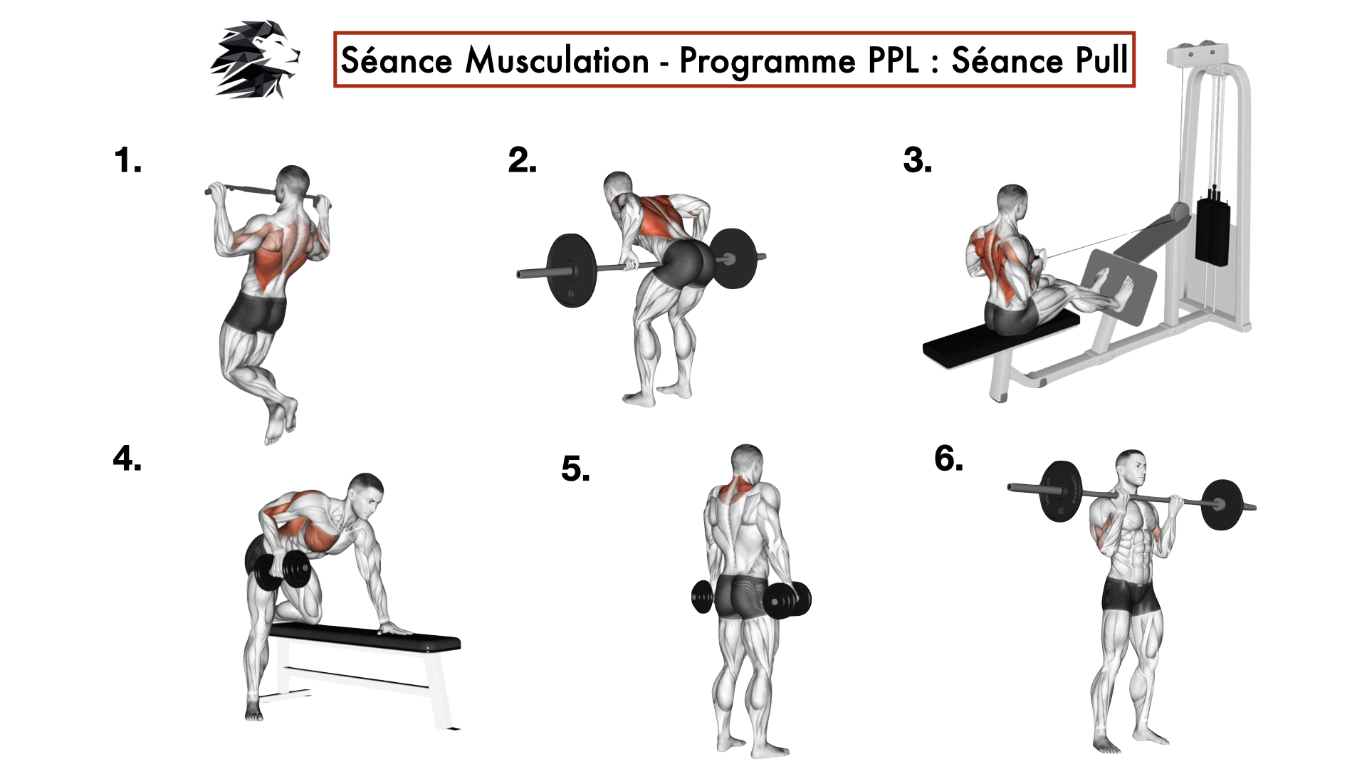 Musculation à la maison - 5 programmes, 9 exercices