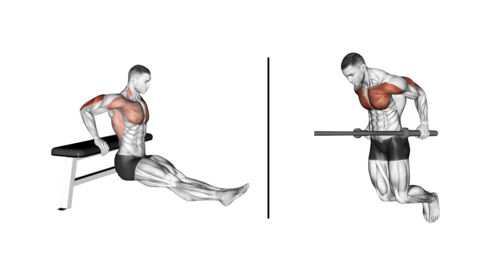 Entraînement Street Workout #6 – Haut du corps - Muscu Street et Crossfit