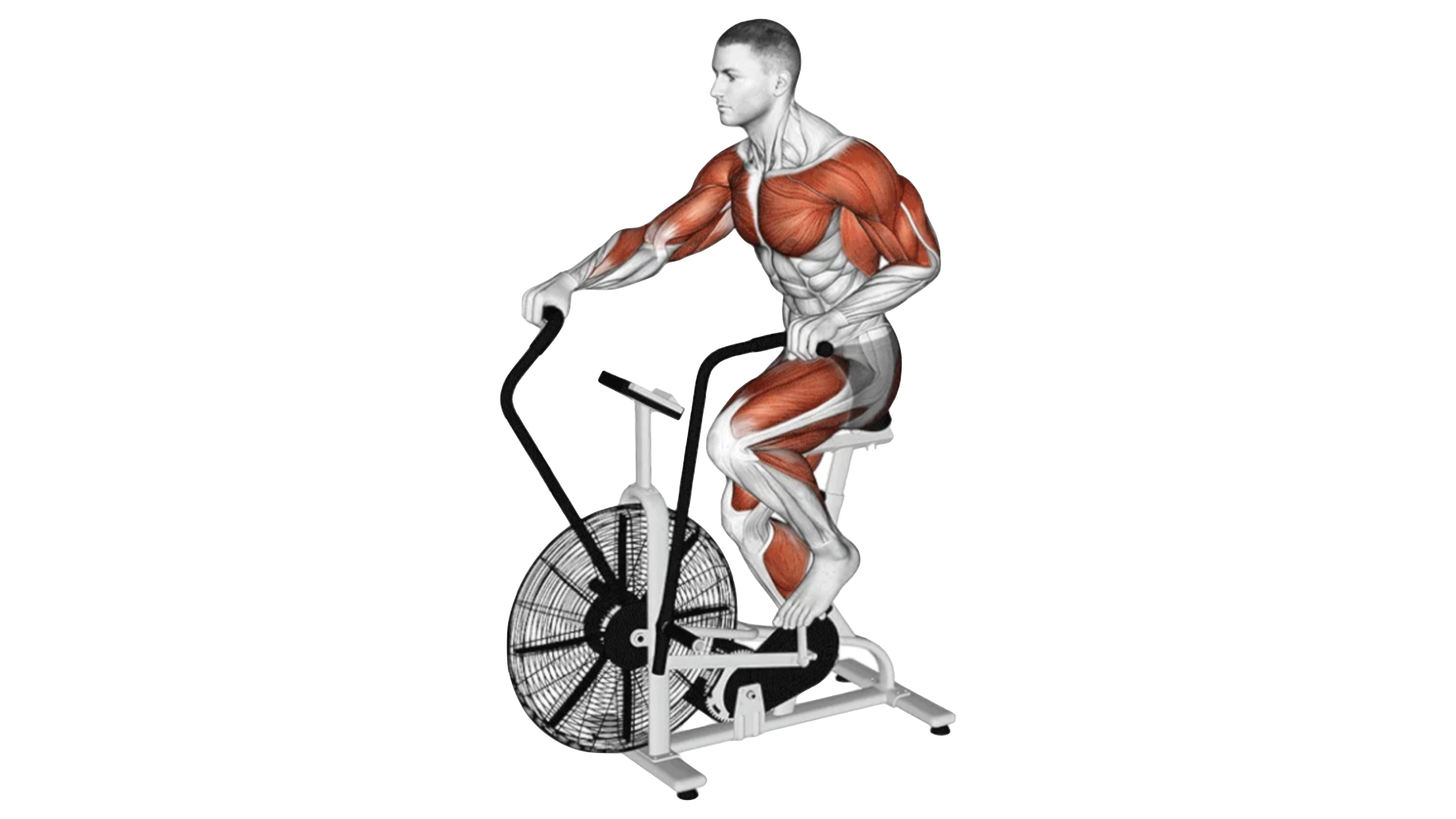 Exercices Cardio Muscu Street Et Crossfit exercices-cardio-muscu-street-et-crossfit